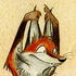 Doctor_Fox için avatar