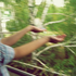 Avatar di karina_kler