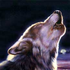 Avatar for Vladimir151