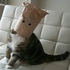 Avatar di Jaba_kot