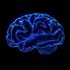 NeuroFlow için avatar
