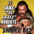 Аватар для Jake "The Snake" Roberts