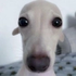 Avatar de mizuriw