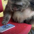 esquizoceci için avatar