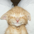Avatar for Pey_04172009