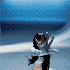 Avatar for sedoru