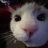 Avatar for xen71q24