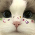 Avatar for websiteuser