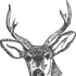 deerantlers için avatar