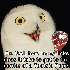 Avatar for Chainsaw_X