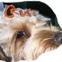 Avatar for Mrballs846