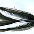 Avatar for andrrrrea