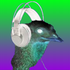 Avatar für CATZ_4LIFE