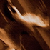 Avatar for displacedman