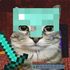 Avatar for DasMinion10