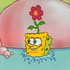 Avatar for solarrsquid