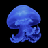 Avatar for Docodcocodc