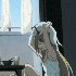 p0ndering 的头像