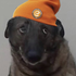 Avatar for guiltyasinclair