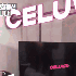 YesDUBU 的头像