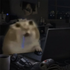 Avatar for cheeseudon