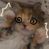 Avatar for Elizabeth_Fox