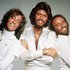 Avatar de Bee Gees