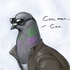 Avatar for metal_pigeon