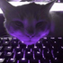 Caatmeow 的头像