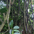 Awatar dla Roots_Remain