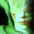 Avatar for Aleksa0102