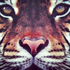Avatar for asspik