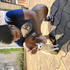Avatar di DigO4