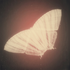 Avatar for Blindrabbitt