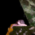 Avatar for Iwan_jlkh13