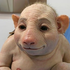 Avatar for -jugga-