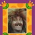Avatar di themightycasey