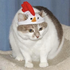 Avatar for imurrealdadd