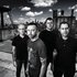 Avatar for Rise Against
