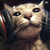 vvel0uria için avatar