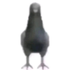 Avatar for ElUrigod