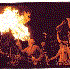 Avatar for White Cowbell Oklahoma