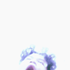 Avatar for ForbiddenBid