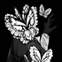 Avatar for White-space