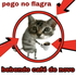 Avatar di foolishDaLua