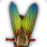 Avatar di Expatasapien