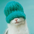 Avatar for Yota_VGA