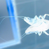 Avatar for mwyf