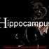 Avatar för Hippocampus