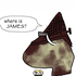 Avatar di mmoore912